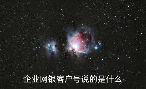 企業(yè)網(wǎng)銀客戶號(hào)說的是什么