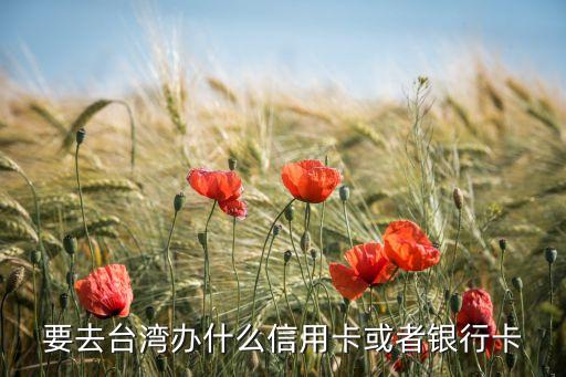 要去臺(tái)灣辦什么信用卡或者銀行卡