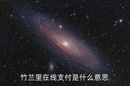 竹蘭里在線(xiàn)支付是什么意思