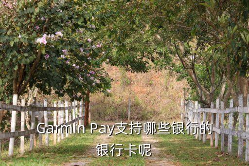 Garmin Pay支持哪些銀行的銀行卡呢