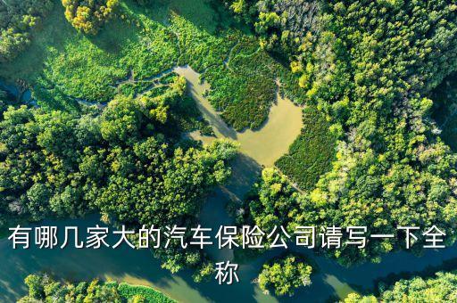 平安車險全稱是什么，請問寧夏吳忠中國平安車險保險公司的全稱是什么