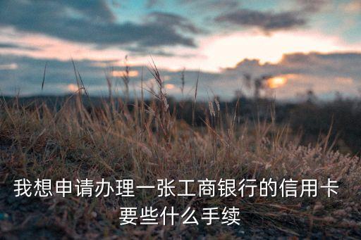 我想申請辦理一張工商銀行的信用卡 要些什么手續(xù)