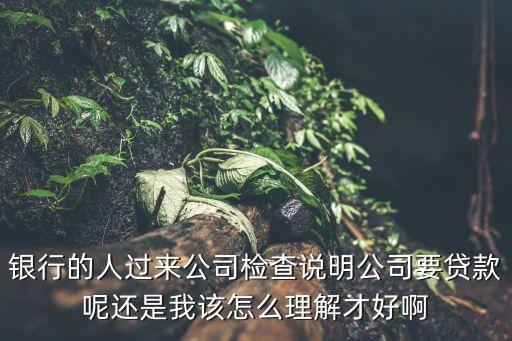 銀行的人過來公司檢查說明公司要貸款呢還是我該怎么理解才好啊