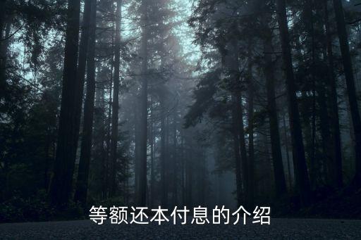 還息付本是什么意思，等額還本付息的介紹