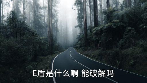 E盾是什么啊 能破解嗎