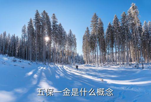 五保一金是什么概念