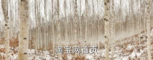 淘寶網(wǎng)首頁