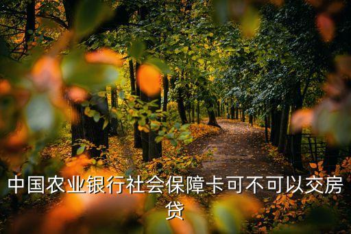 中國(guó)農(nóng)業(yè)銀行社會(huì)保障卡可不可以交房貸