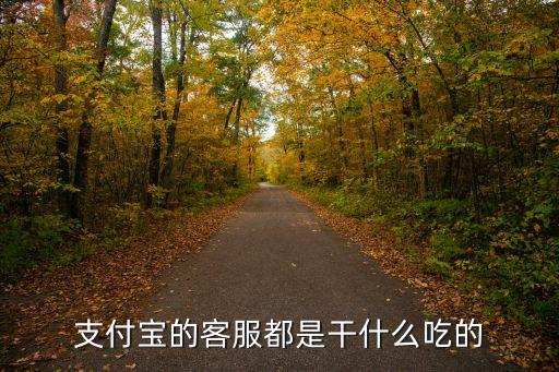 支付寶的客服都是干什么吃的
