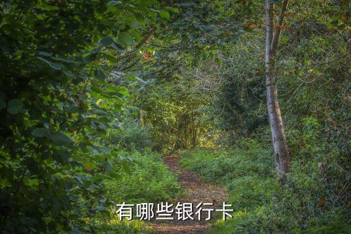 有哪些銀行卡
