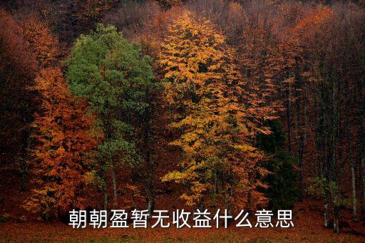 朝朝盈為什么沒(méi)收益率，朝朝盈暫無(wú)收益什么意思