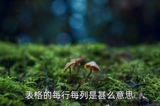 表格的每行每列是甚么意思