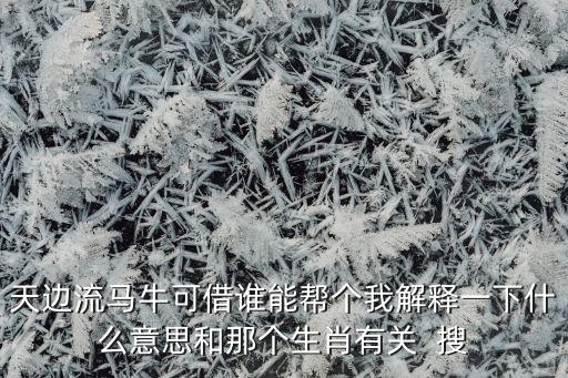 可借的意思是什么意思是什么，天邊流馬?？山枵l(shuí)能幫個(gè)我解釋一下什么意思和那個(gè)生肖有關(guān)  搜