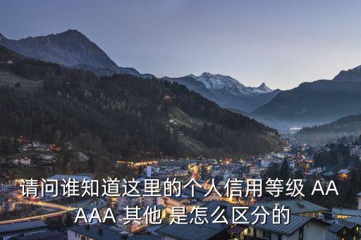 請(qǐng)問誰知道這里的個(gè)人信用等級(jí) AA AAA 其他 是怎么區(qū)分的