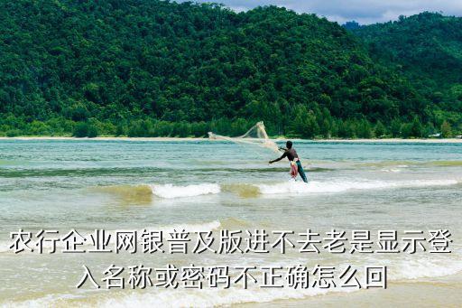 農(nóng)行企業(yè)網(wǎng)銀普及版進(jìn)不去老是顯示登入名稱或密碼不正確怎么回