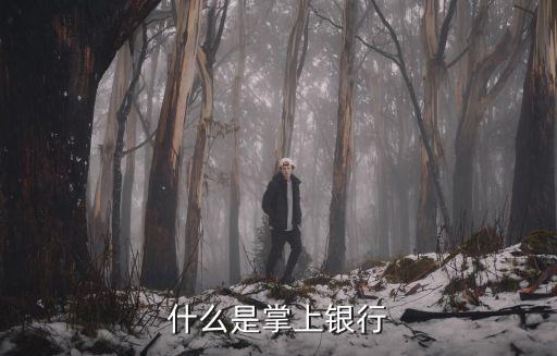 什么叫專(zhuān)業(yè)版手機(jī)銀行，招行個(gè)人銀行大眾版與專(zhuān)業(yè)版有什么區(qū)別