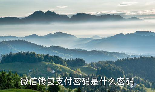 手機購物微信支付密碼是什么，微信錢包支付密碼是什么密碼