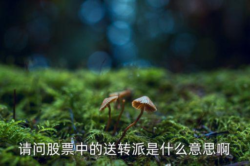 請問股票中的送轉(zhuǎn)派是什么意思啊