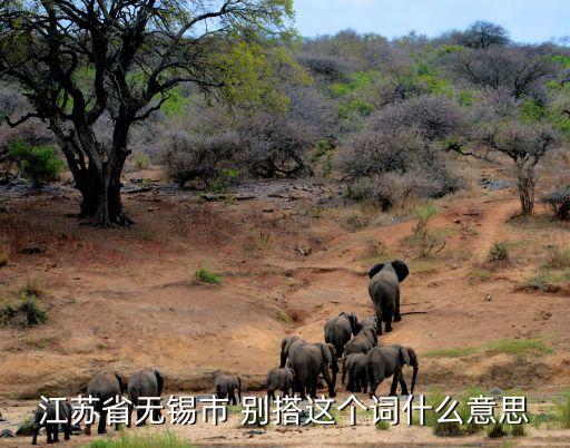 江蘇省無錫市 別搭這個(gè)詞什么意思