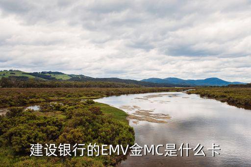 龍卡萬(wàn)事達(dá)什么意思，交通銀行的VISA及MasterCard這兩種卡是什么意思