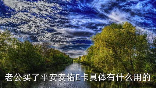 平安上有個(gè)e什么作用，什么是平安輕松E開