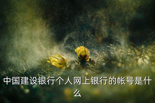 中國建設(shè)銀行個人網(wǎng)上銀行的帳號是什么