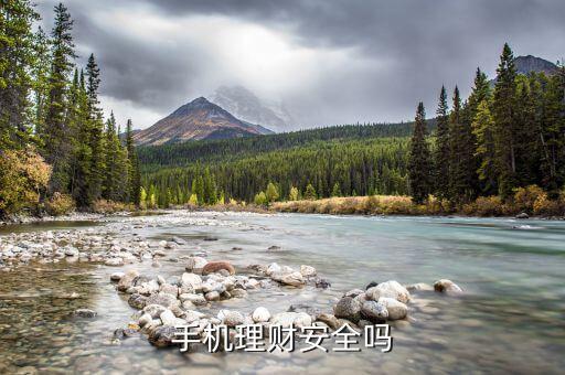 網(wǎng)上什么手機(jī)理財產(chǎn)品安全嗎，手機(jī)app理財安全嗎