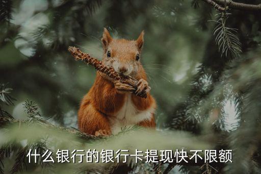 什么銀行日限額度大，建設(shè)銀行的每日上限是什么