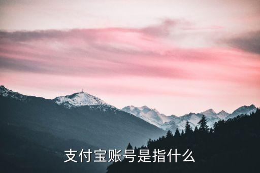 支付寶賬號是指什么