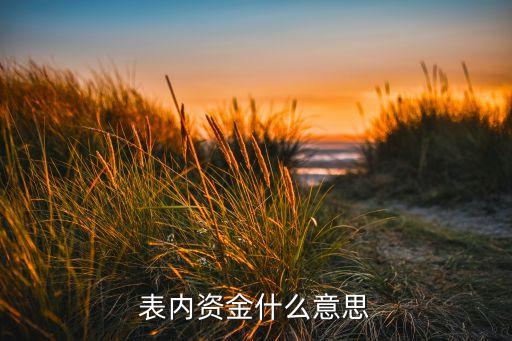表內(nèi)資產(chǎn)指什么意思，表內(nèi)資金什么意思