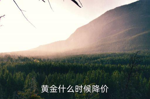 黃金什么時(shí)候降價(jià)