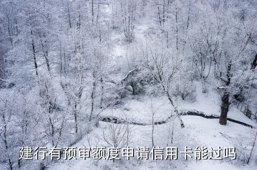 建行有預(yù)審額度申請信用卡能過嗎