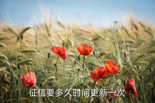 征信要多久時間更新一次