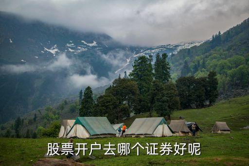 股票開戶去哪個證券好呢