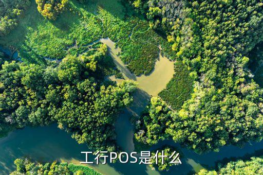 銀行賣pos機的是什么，銀行的POS機是什么哦