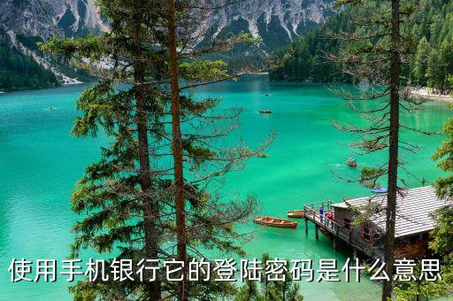 使用手機(jī)銀行它的登陸密碼是什么意思