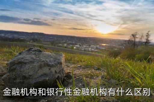 融資公司和銀行的區(qū)別是什么意思，問下 銀行和融資公司啥區(qū)別