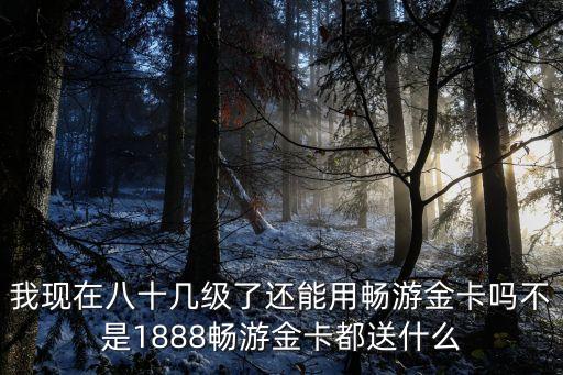 我現(xiàn)在八十幾級了還能用暢游金卡嗎不是1888暢游金卡都送什么