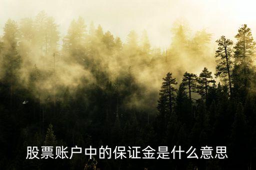 股票賬戶中的保證金是什么意思