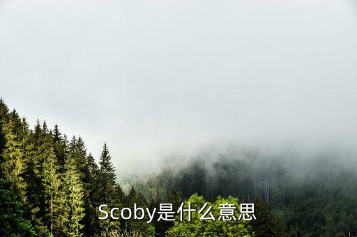 什么是余月寶，鈃是什么意思