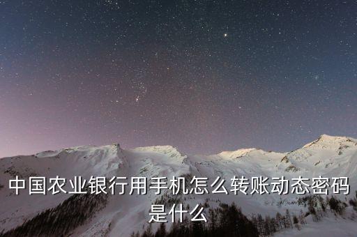 農(nóng)行網(wǎng)銀轉(zhuǎn)賬動態(tài)密碼是什么，請問農(nóng)業(yè)銀行卡網(wǎng)上的支付中的動態(tài)密碼是什么東西