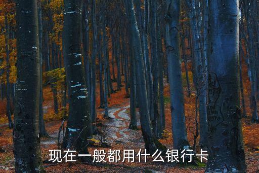 現(xiàn)在一般都用什么銀行卡