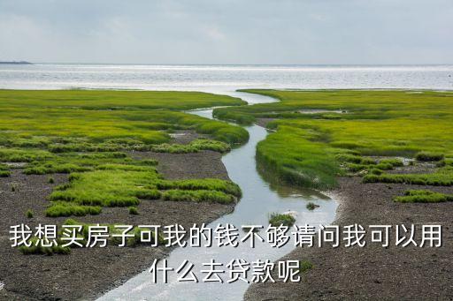 我想買房子可我的錢不夠請(qǐng)問我可以用什么去貸款呢