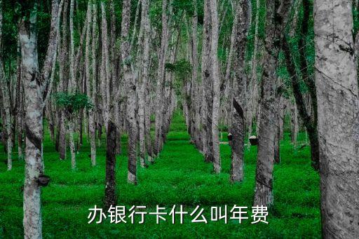 辦銀行卡什么叫年費