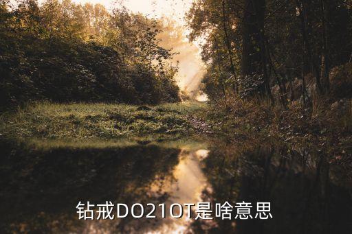 鉆戒DO21OT是啥意思