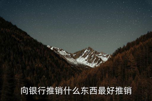向銀行推銷(xiāo)什么東西最好推銷(xiāo)