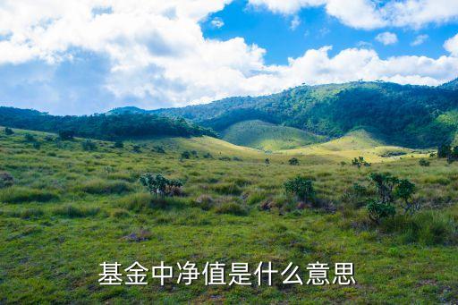 基金中凈值是什么意思