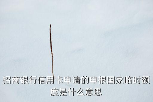 招商銀行信用卡申請(qǐng)的申根國(guó)家臨時(shí)額度是什么意思