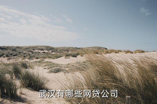 武漢有哪些網(wǎng)貸公司