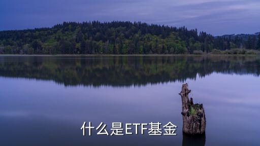 金融etf基金是什么意思，etf什么意思